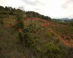 Chalet-En-Requena_00000.jpg