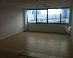 Chalet-En-Sevilla-Capital.jpg