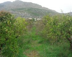comprar_piso_5100000486.JPG